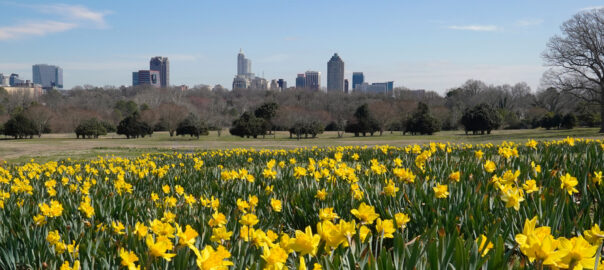 Zonda’s economists, Tim Sullivan and Ali Wolf recently shared an update on the housing market. Here are some key takeaways.